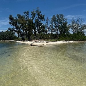 Sunset cruise on Tampa Bay from River Skipper II